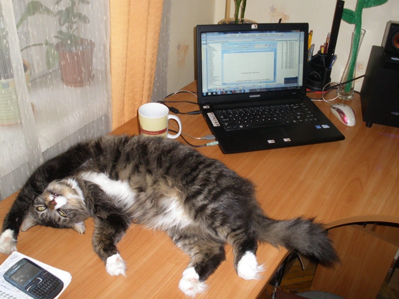 Олеся Ласмон | Санкт-Петербург