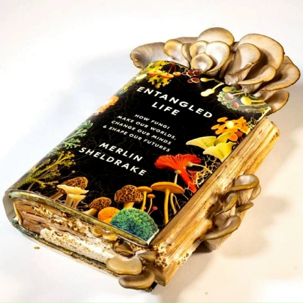 Биолог съел грибы, которые вырастил на своей же книге...