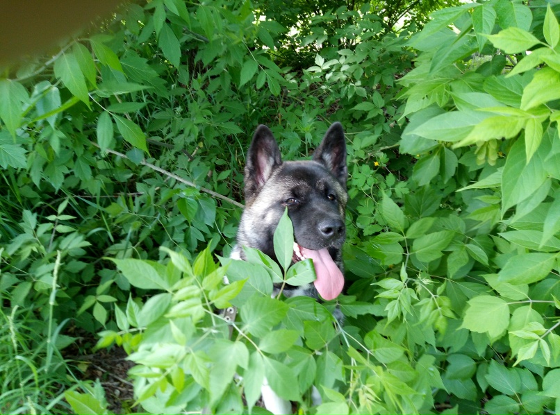 Сергей Сучков | Нижний Новгород