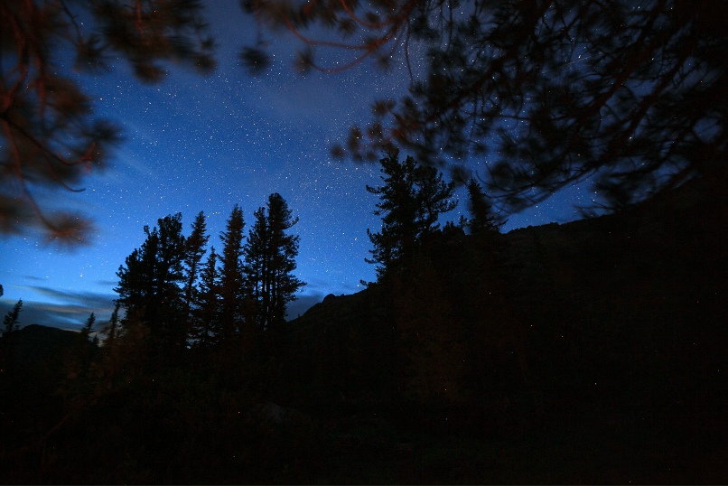 Антон Петров | Красноярск