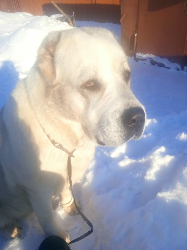 Яна Балашова | Архангельск