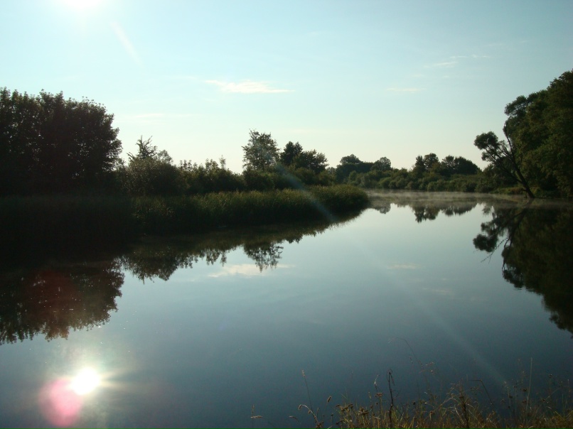 Игорь Медведкин | Курск