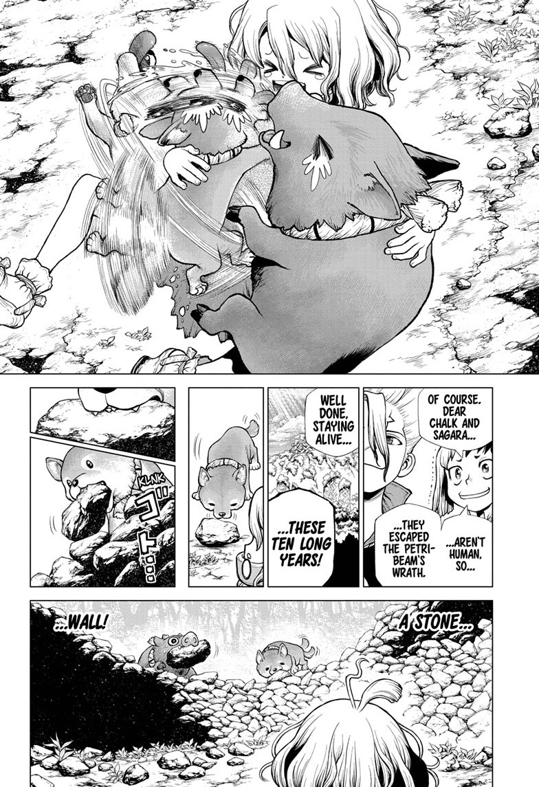 Dr Stone Manga Chapter 212, image №14