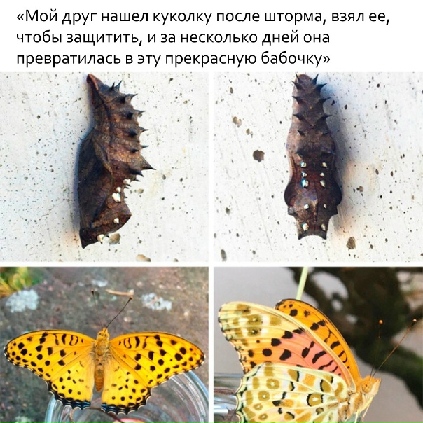 Путешествия|Удивительные места|Природа