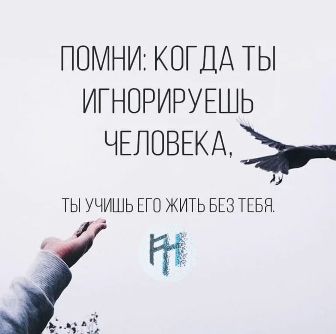 Цитаты про игнор
