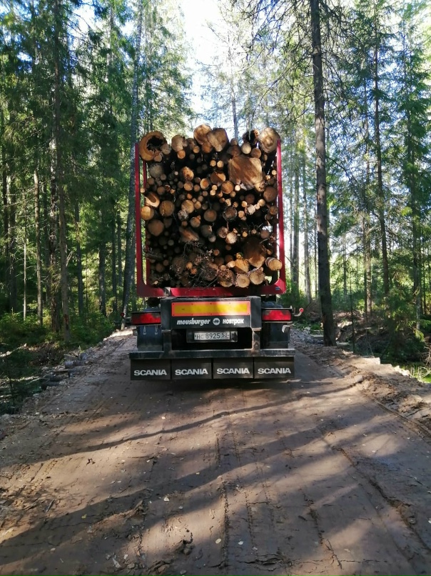 Иван Шибаев |