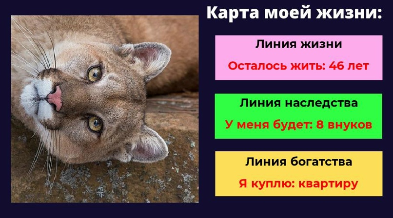 Лена Захарова | Вязники