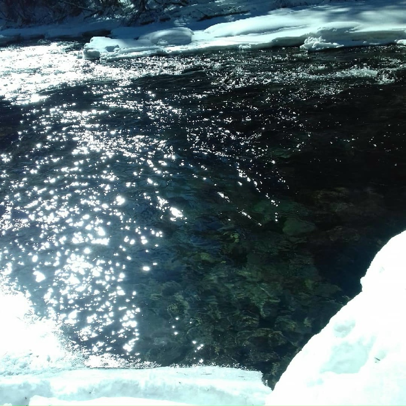 Лариса Сергеева | Ставрополь