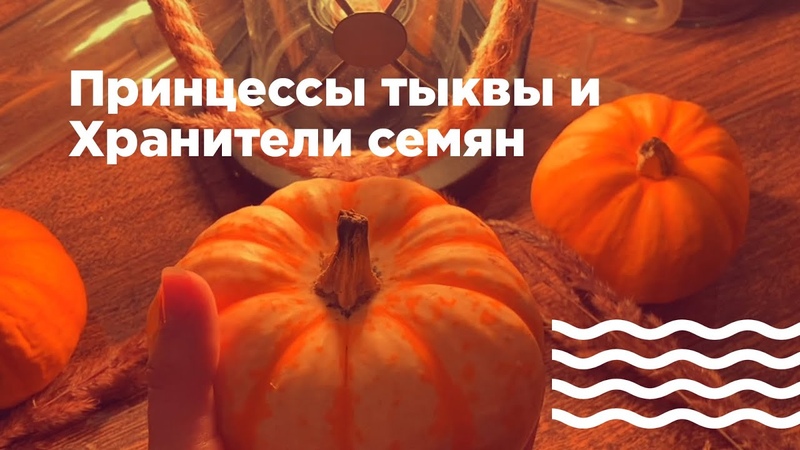 Принцессы тыквы и Хранители