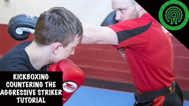 Kickboxing Countering the Aggressive Striker