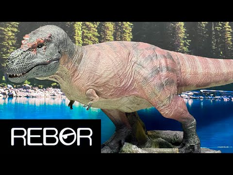 Rebor Tyrannosaurus rex Kiss Review Best Tyrannosaurus Figure