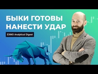 Быки готовы нанести удар | EXMO