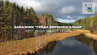 Государственный природный заказник «Гряда Вярямянселькя»