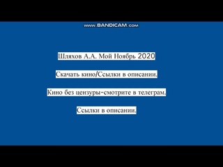 Шляхов А.А. Мой Ноябрь 2020.  Инфо в описании  и  в верхнем правом углу буква  i