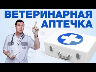 Аптечка для животных - что купить для первой помощи, список