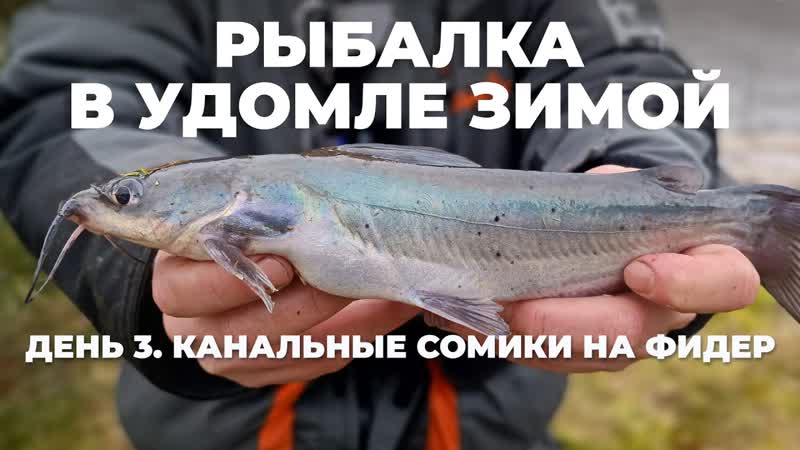 Рыбалка в Удомле День 3 Ловля сома на