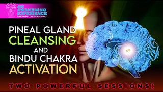 Unlock the Hidden Secrets of the Pineal Gland and Bindu Chakra  Transform Your Spiritual Journey!
