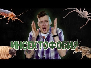 СТРАХИ И ФОБИИ НАСЕКОМЫХ | ПОЧЕМУ НЕ СТОИТ БОЯТЬСЯ