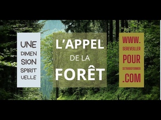 l'appel de la foret