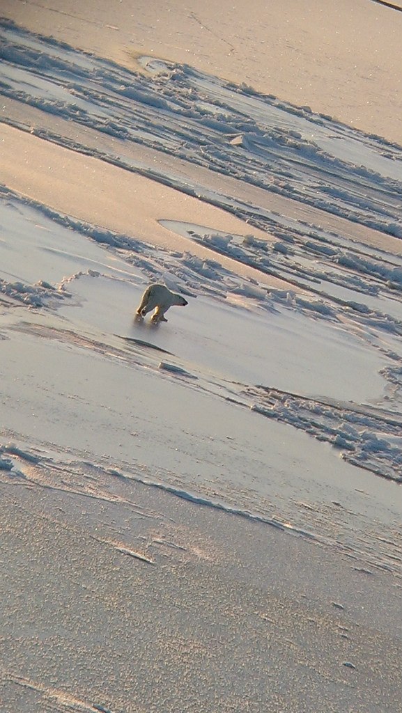 Александр Волошин | Новороссийск