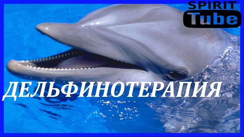 Исцеляющие звуки дельфинов. Голос дельфина. Звуки дельфинов. Исцеляющие звуки дельфинов. Голос дельфина.