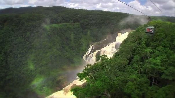 Cairns Rainforest Tours Skyrail