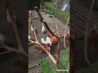 инструкция (любителям покушать) лучший способ сбросить вес.