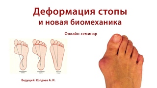 Новая биомеханика стопы