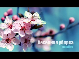 Весенняя уборка ~ Муджи