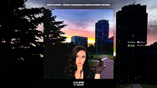 DEAD BLONDE  МЕЖДУ ПАНЕЛЬНЫХ ДОМОВ (Slowed & Reverb, 2021)