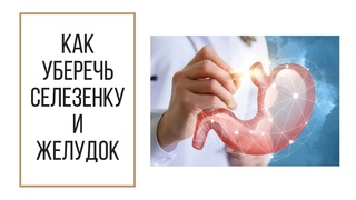 Межсезонье - крайне важный период для здоровья! Поведение и питание. У-син