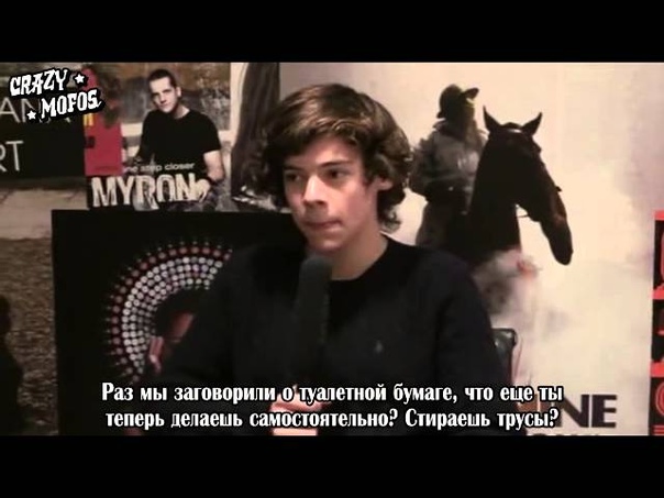 Harry Styles on his underwear, wetting himself, and cats Rus