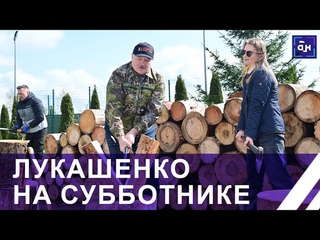 Рубим дрова, догрузиться надо! Лукашенко решил приобщить репортёров к колке дров. Панорама